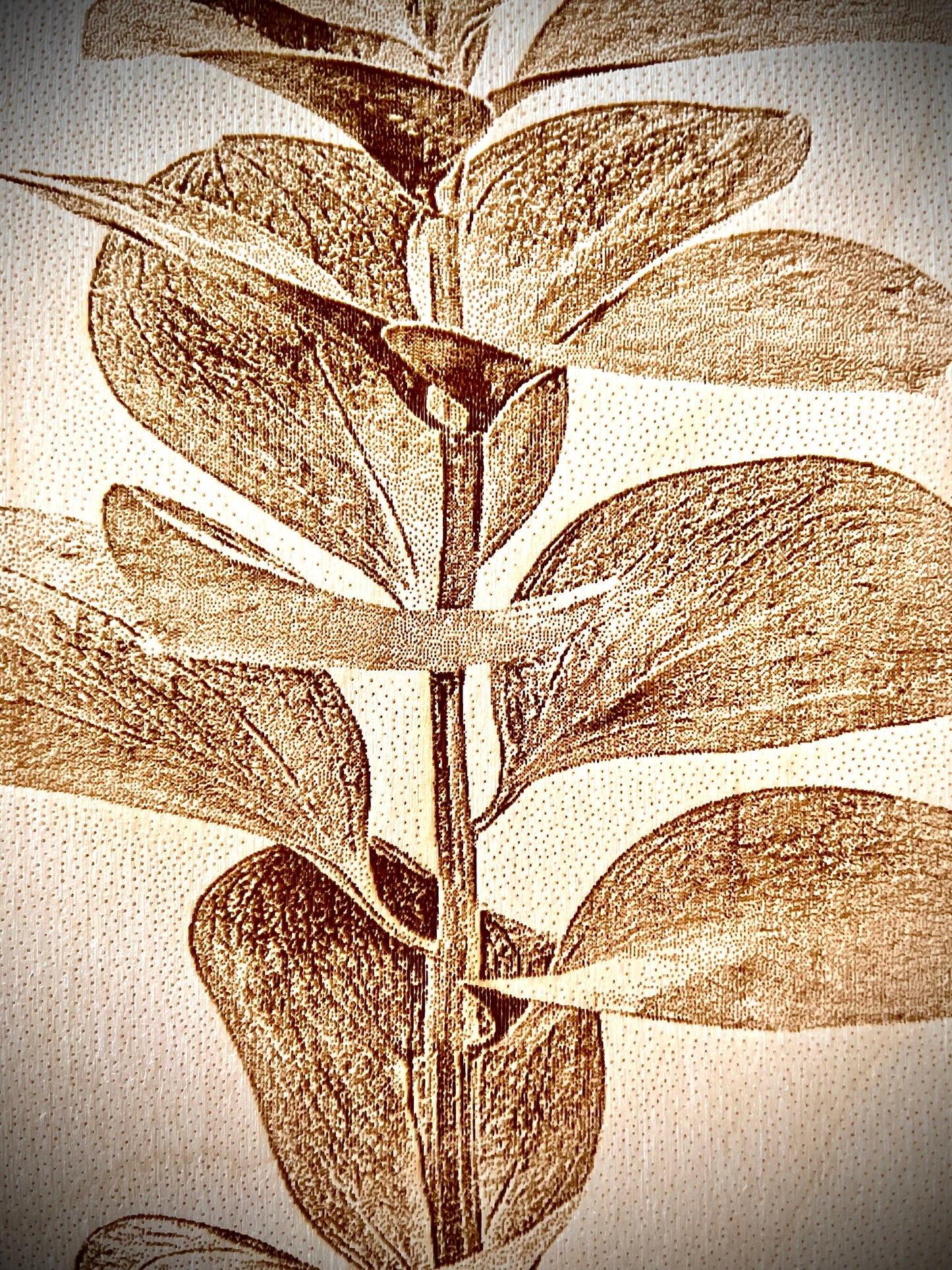 Boho Plant & Leaves Laser Engraved Wood Wall Art | 3-Panel Set | Multiple Finishes