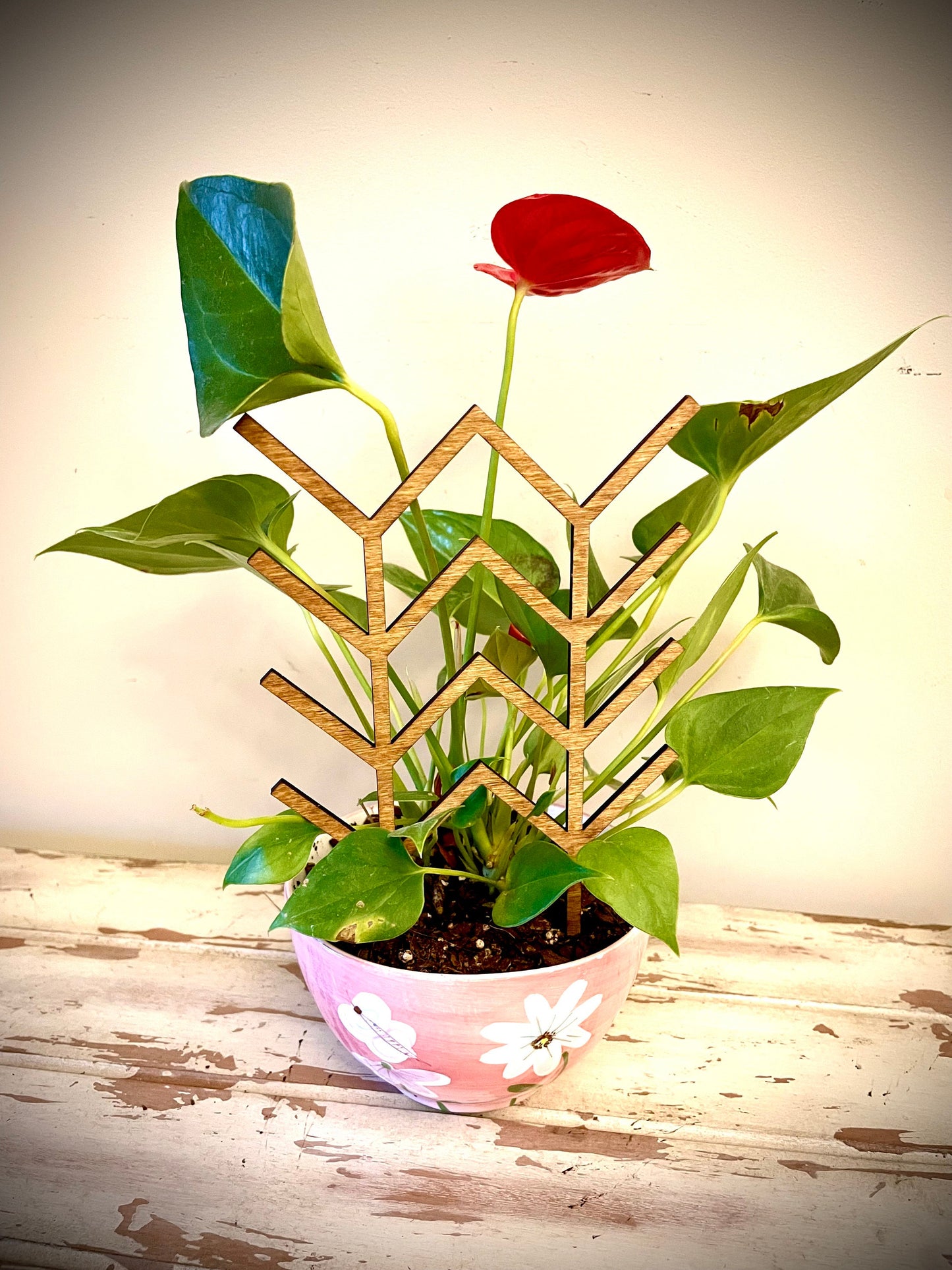 Boho Indoor Plant Trellis | V Shapes | Multiple Sizes & Finishes