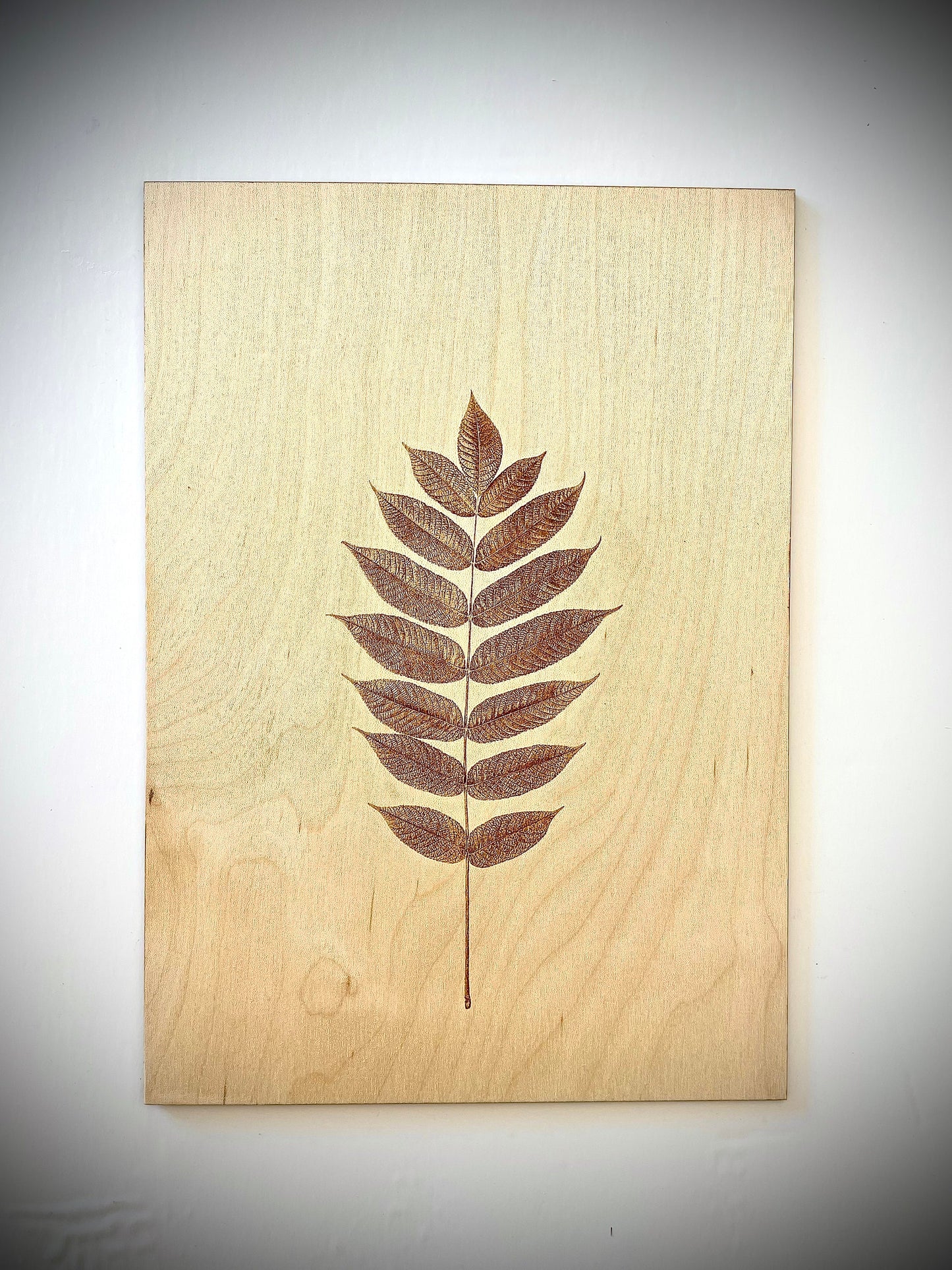 Boho Plant & Leaves Laser Engraved Wood Wall Art | 3-Panel Set | Multiple Finishes