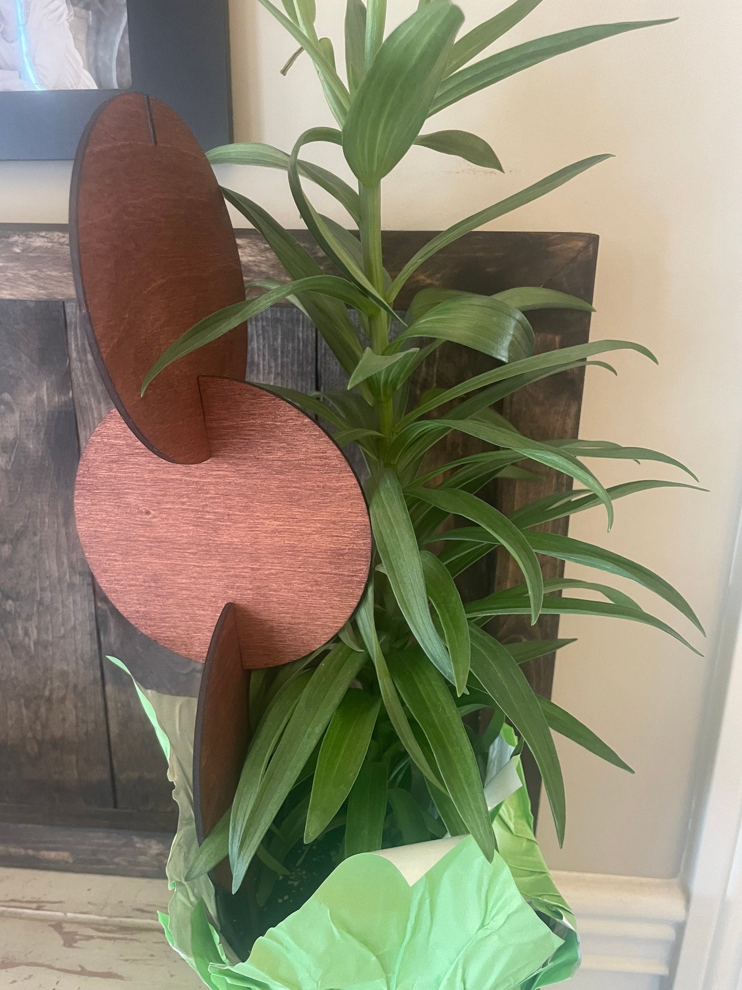 Boho Expandable Indoor Plant Trellis | Circle Shapes | Multiple Configurations | 12 Finishes