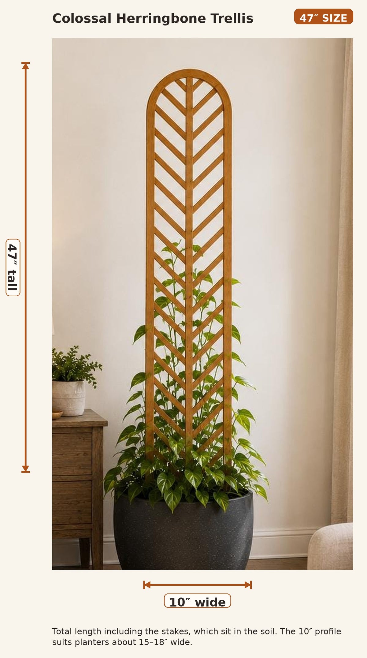 Herringbone Indoor Plant Trellis – Large Wood Climbing Plant Support | 47" & 29" | Baltic Birch