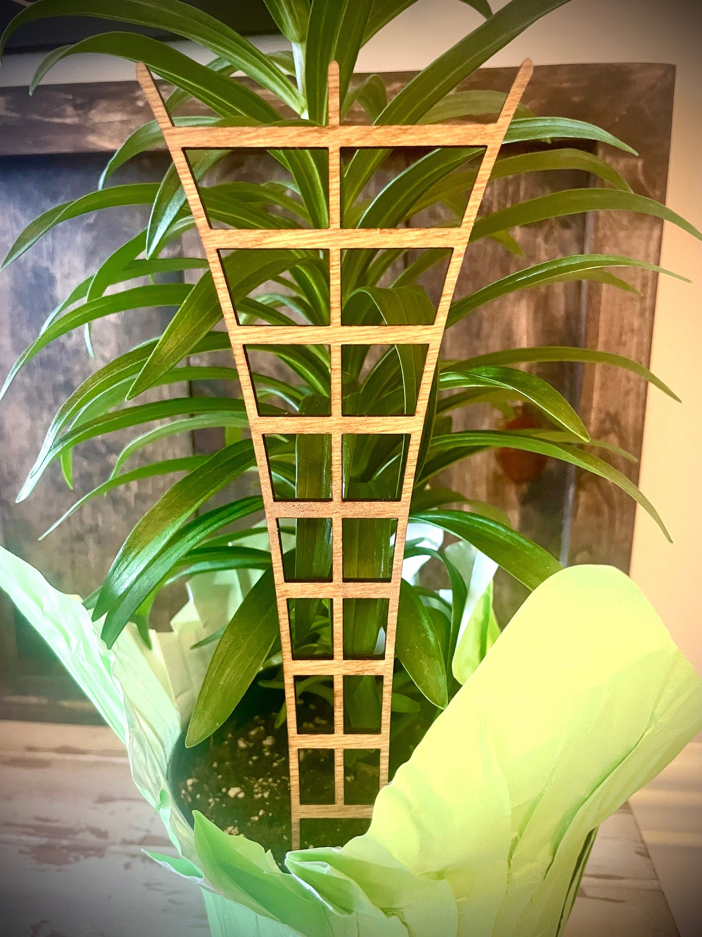 Boho Indoor Plant Trellis | Traditional Shape | Multiple Sizes & Finishes