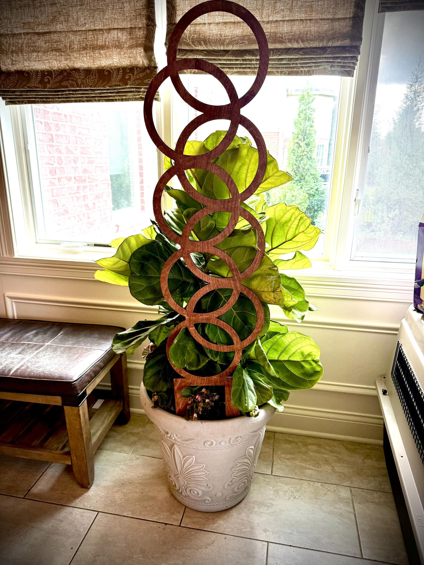 COLOSSAL 47" or 29" Boho Indoor Plant Trellis | Small Circle Pattern | 12 Finishes