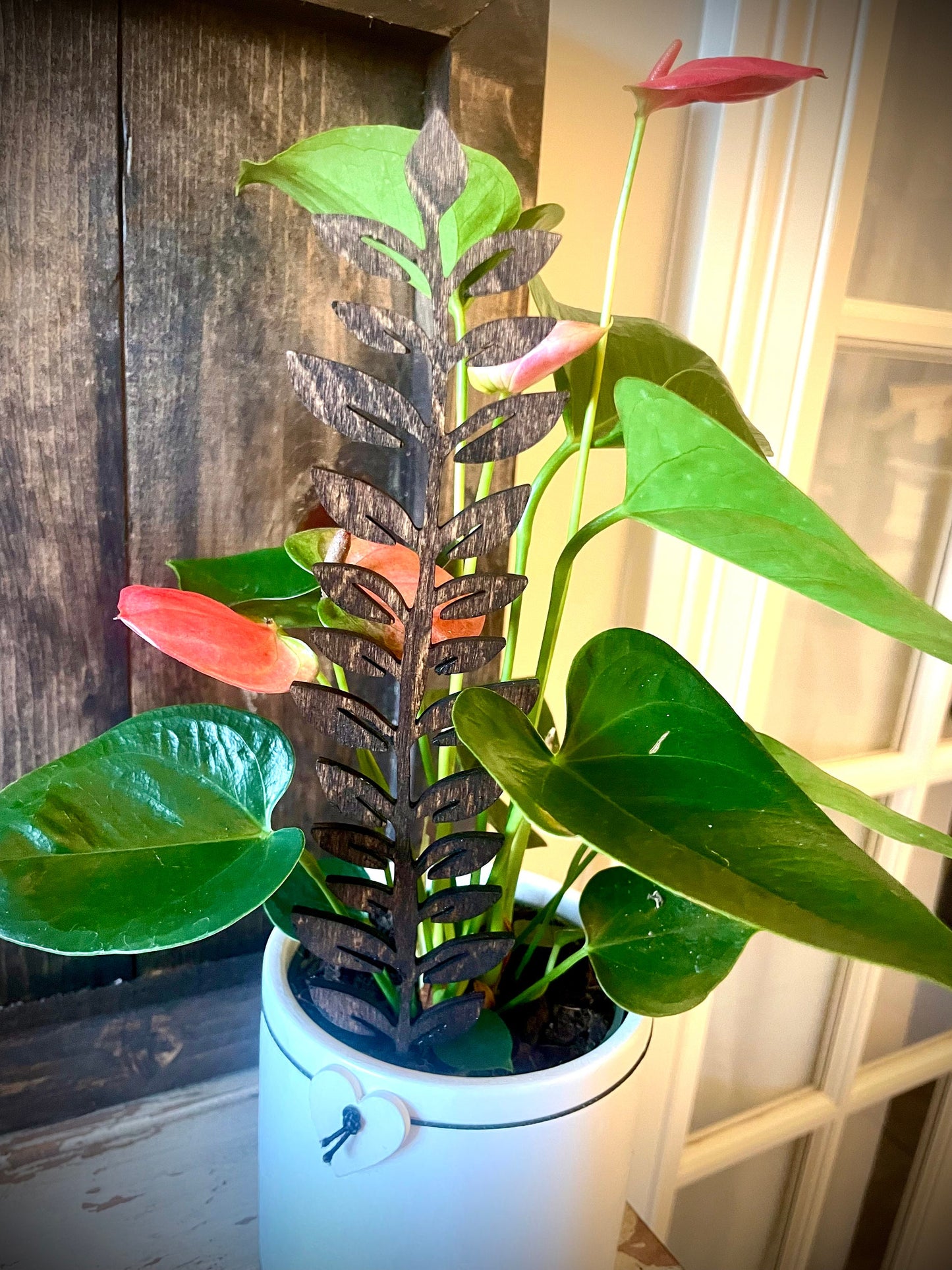 Boho Indoor Plant Trellis | Leafy Vine | Multiple Sizes & Finishes