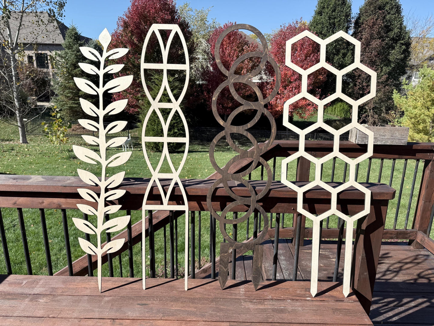 COLOSSAL 47" or 29" Boho Indoor Plant Trellis | Small Circle Pattern | 12 Finishes