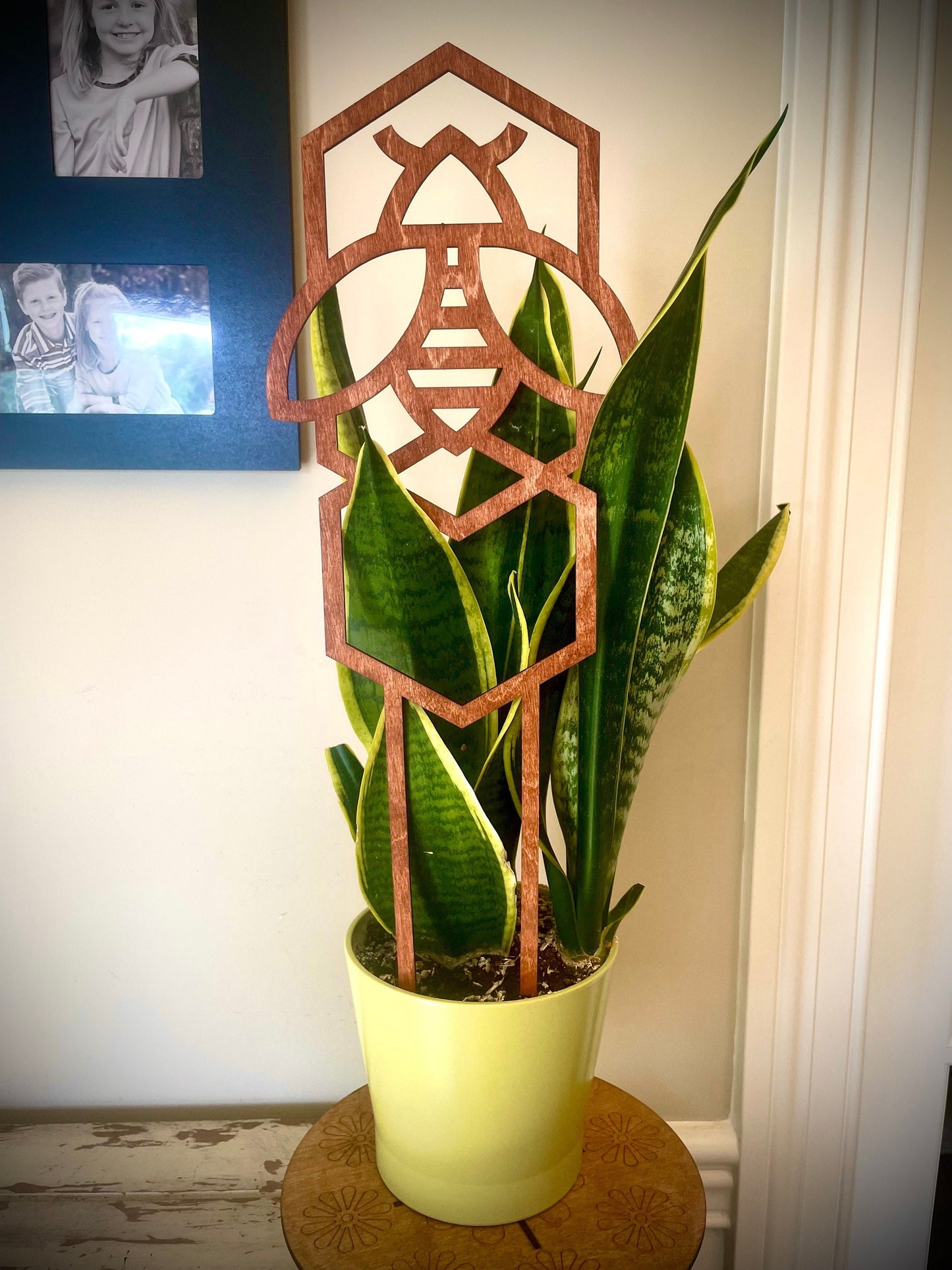GIANT 18" Boho Indoor Plant Trellis | Honeybee & Honeycomb | 12 Finishes