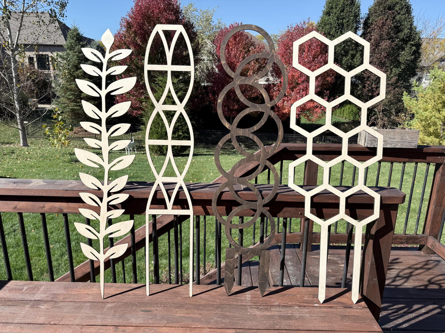 COLOSSAL 47" or 29" Boho Indoor Plant Trellis | Hexagon & Beehive Pattern | 12 Finishes