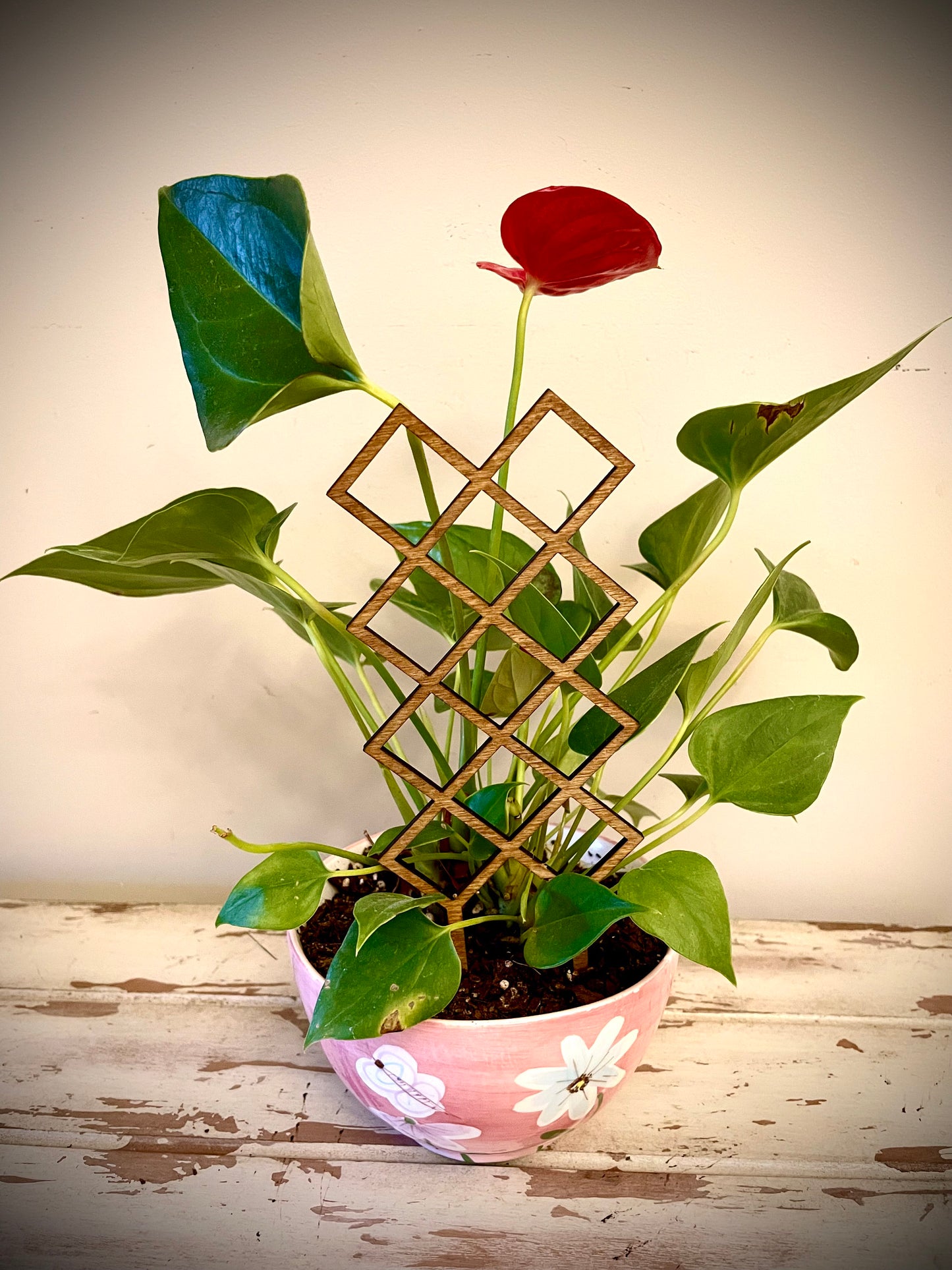 Boho Indoor Plant Trellis | Diamond Shapes | Multiple Sizes & Finishes