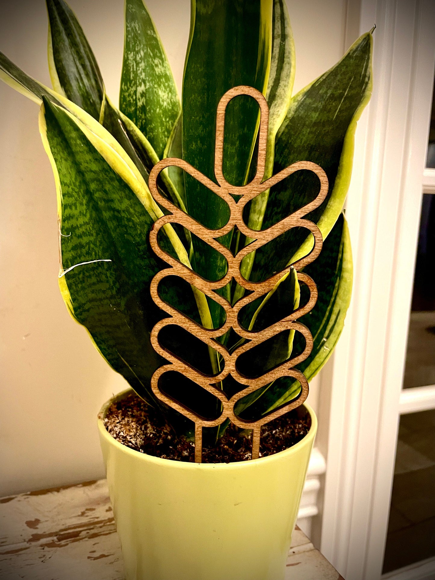 Boho Indoor Plant Trellis | Oval Shapes | Multiple Sizes & Finishes