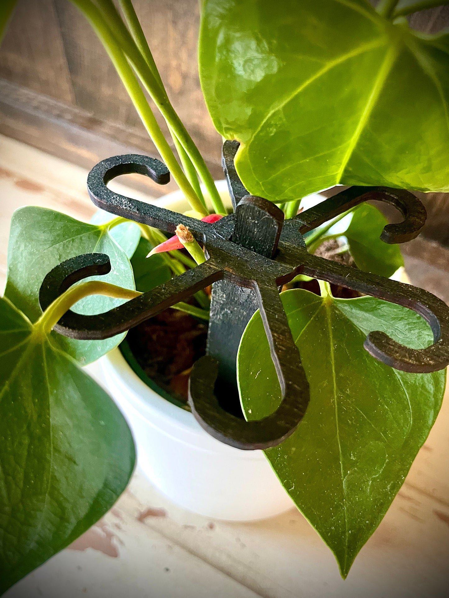 Boho Wood Plant Stem Support with Spike | Philodendron, Alocasia & Monstera | 25 Sizes | 12 Finishes