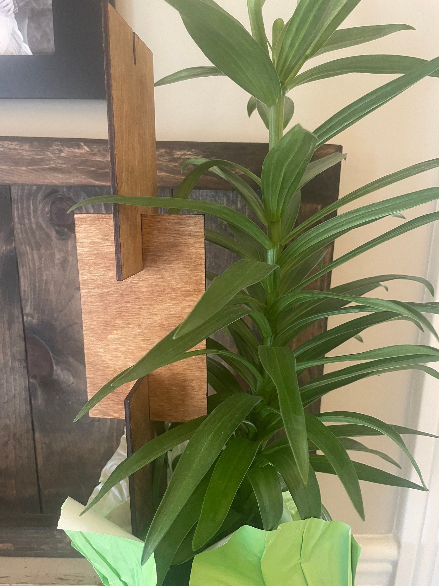 Boho Expandable Indoor Plant Trellis | Rectangle Shapes | Multiple Configurations | 12 Finishes