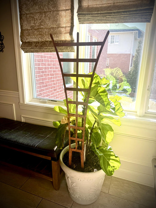 Traditional wooden plant trellis supporting a leafy climbing houseplant in a white decorative pot beside a bench in a bright windowed room.