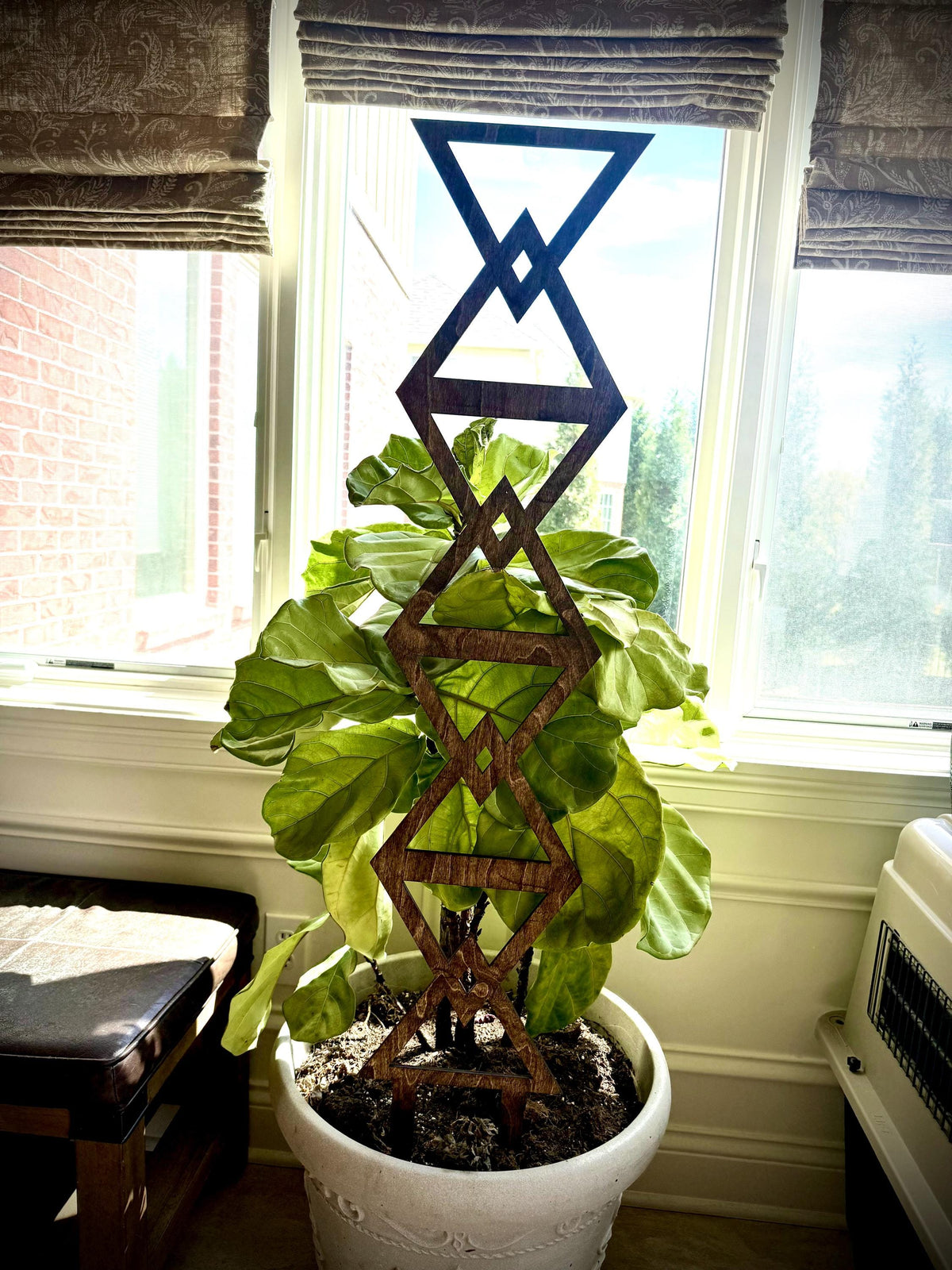 Walnut Colossal Inverted Triangle indoor plant trellis supporting a large leafy houseplant in a white pot beside a bright window