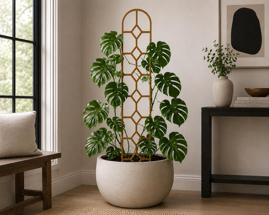 Golden oak Colossal Stacked Diamond indoor plant trellis supporting a large monstera in a cream pot beside a bright window and console table