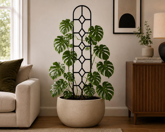 Black Colossal Stacked Diamond indoor plant trellis supporting a large monstera in a cream pot beside a sofa and wooden cabinet