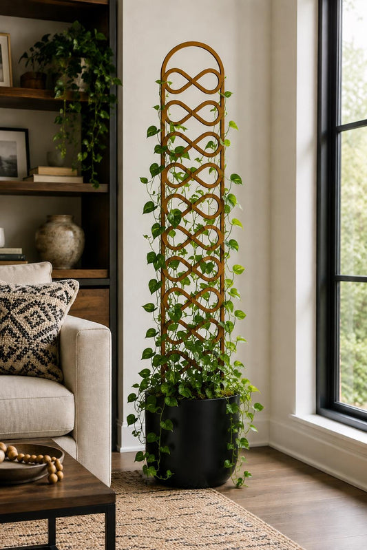 Tall infinity-pattern wooden plant trellis supporting a trailing green houseplant in a black pot beside a large window in a modern living room.