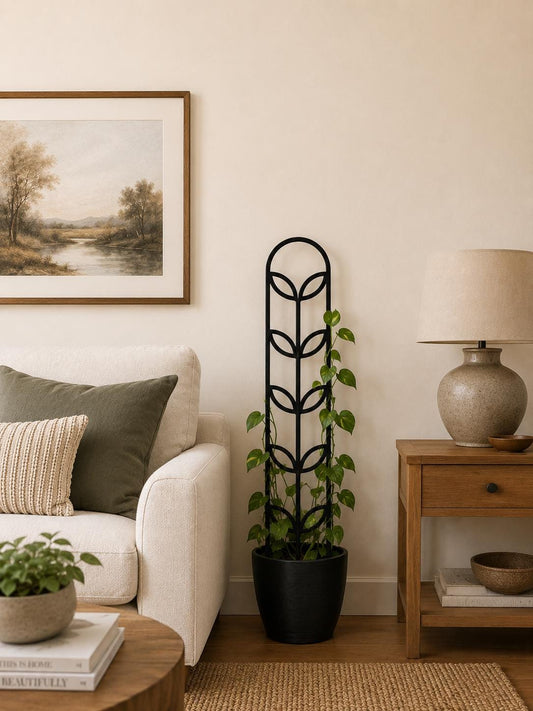 Black Colossal Leaf indoor plant trellis supporting a young climbing houseplant in a black pot beside an armchair and wooden side table